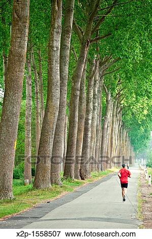 Damse Vaart de Damport, Road that connects Bruges with Damme, Flanders, Belgium View Large Photo Image Stock Photo - Damse Vaart de Damport, Road that connects Bruges with Damme, Flanders, Belgium. Fotosearch