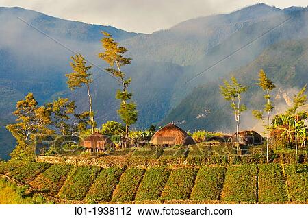 Dani Hubla Village, Papua View Large Photo Image Stock Image - Dani Hubla Village, Papua. Fotosearch