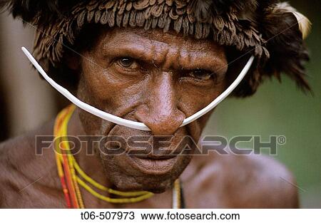 Stock Image - Dani man with head-dress and nose adornment made of bones, Western Papuasia, Baliem valley, Former Irian-Jaya, Indonesia. Fotosearch