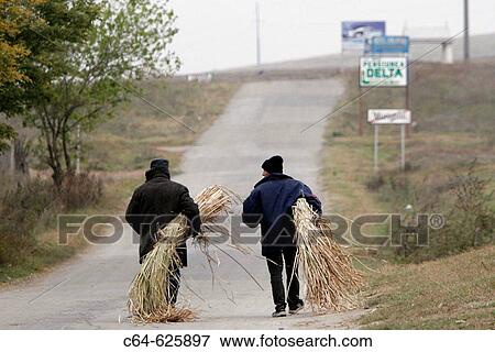 Stock Photo - Danube river Delta. Rumania. Fotosearch