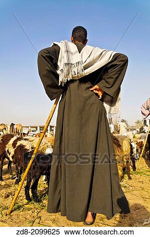 Stock Photography - darow camels market. egypt.. Fotosearch