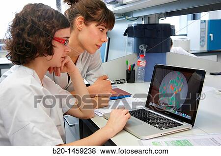 Stock Photo - Data discussion, cell culture, Tissue engineering Lab, Research in Regenerative medicine, Biodonostia Health and Biomedicine Research Institute, San Sebastian, Donostia, Gipuzkoa, Euskadi, Spain. Fotosearch