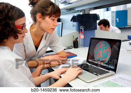 Data discussion, cell culture, Tissue engineering Lab, Research in Regenerative medicine, Biodonostia Health and Biomedicine Research Institute, San Sebastian, Donostia, Gipuzkoa, Euskadi, Spain View Large Photo Image Stock Photograph - Data discussion, cell culture, Tissue engineering Lab, Research in Regenerative medicine, Biodonostia Health and Biomedicine Research Institute, San Sebastian, Donostia, Gipuzkoa, Euskadi, Spain. Fotosearch