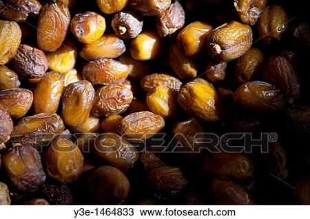 Dates, Fes, Morocco View Large Photo Image Stock Image - Dates, Fes, Morocco. Fotosearch