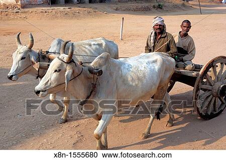 Stock Image - Datia, India. Fotosearch