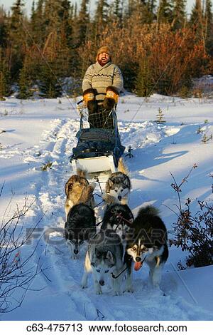 Stock Image - Dave Daily and Gerald Azure dog mushing just outside Churchill, Manitoba, Canada.. Fotosearch