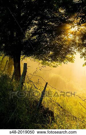 Dawn in rural Ramales de la Victoria. Cantabria. Spain. Europe. View Large Photo Image Stock Image - Dawn in rural Ramales de la Victoria. Cantabria. Spain. Europe.. Fotosearch