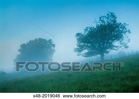 Dawn in rural Ramales de la Victoria. Cantabria. Spain. Europe. View Large Photo Image Stock Photograph - Dawn in rural Ramales de la Victoria. Cantabria. Spain. Europe.. Fotosearch