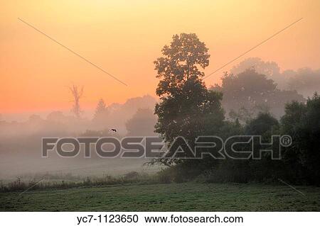 Stock Image - dawn in the French countryside. Fotosearch