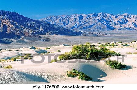 Death Valley, California, USA Sand dune in arid desert parched eroded hill landscape near Stovepipe Wells View Large Photo Image Stock Photograph - Death Valley, California, USA Sand dune in arid desert parched eroded hill landscape near Stovepipe Wells. Fotosearch