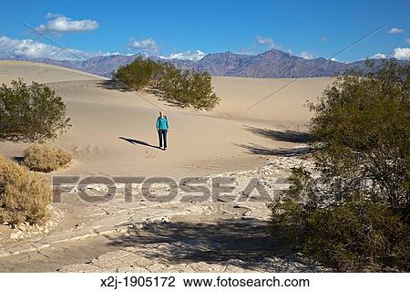 Death Valley National Park, California - Susan Newell, 64, hikes on the Mesquite Flat Sand Dunes MR View Large Photo Image Stock Image - Death Valley National Park, California - Susan Newell, 64, hikes on the Mesquite Flat Sand Dunes MR. Fotosearch