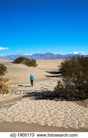 Death Valley National Park, California - Susan Newell, 64, hikes on the Mesquite Flat Sand Dunes MR View Large Photo Image Stock Image - Death Valley National Park, California - Susan Newell, 64, hikes on the Mesquite Flat Sand Dunes MR. Fotosearch