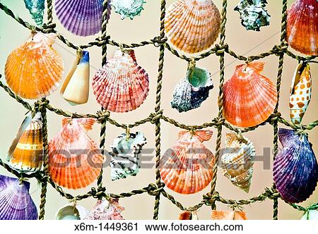 Decorative shells Fira village Santorini island, Cyclades islands, Aegean Sea, Greece, Europe View Large Photo Image Stock Image - Decorative shells Fira village Santorini island, Cyclades islands, Aegean Sea, Greece, Europe. Fotosearch