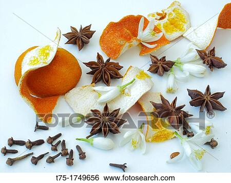 Dehydrated Orange, cloves, orange blossom and star anis View Large Photo Image Stock Photograph - Dehydrated Orange, cloves, orange blossom and star anis. Fotosearch