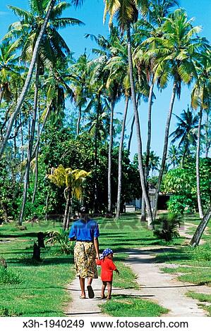 Denis island, Republic of Seychelles, Indian Ocean View Large Photo Image Stock Photo - Denis island, Republic of Seychelles, Indian Ocean. Fotosearch