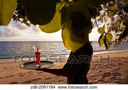 denis island. seychelles. View Large Photo Image Picture - denis island. seychelles.. Fotosearch