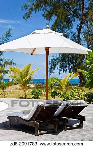 denis island. seychelles. View Large Photo Image Stock Image - denis island. seychelles.. Fotosearch