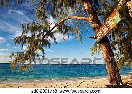 denis island. seychelles. View Large Photo Image Stock Photo - denis island. seychelles.. Fotosearch
