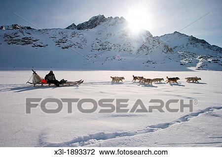 Denmark, Greenland, Kulusuk, Dogs pulling sledge across snow View Large Photo Image Stock Image - Denmark, Greenland, Kulusuk, Dogs pulling sledge across snow. Fotosearch