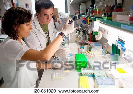Department of Brain Ischemia and Neurodegeneration, IIBB - Institute for Biomedical Research of Barcelona, CSIC - Consejo Superior de Investigacion Cientifica (Spanish National Research Council), Barcelona, Catalonia, Spain View Large Photo Image Stock Image - Department of Brain Ischemia and Neurodegeneration, IIBB - Institute for Biomedical Research of Barcelona, CSIC - Consejo Superior de Investigacion Cientifica (Spanish National Research Council), Barcelona, Catalonia, Spain. Fotosearch