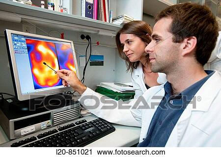 Department of Brain Ischemia and Neurodegeneration, IIBB - Institute for Biomedical Research of Barcelona, CSIC - Consejo Superior de Investigacion Cientifica (Spanish National Research Council), Barcelona, Catalonia, Spain View Large Photo Image Stock Image - Department of Brain Ischemia and Neurodegeneration, IIBB - Institute for Biomedical Research of Barcelona, CSIC - Consejo Superior de Investigacion Cientifica (Spanish National Research Council), Barcelona, Catalonia, Spain. Fotosearch