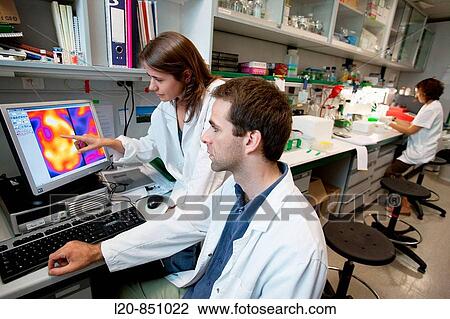 Stock Image - Department of Brain Ischemia and Neurodegeneration, IIBB - Institute for Biomedical Research of Barcelona, CSIC - Consejo Superior de Investigacion Cientifica (Spanish National Research Council), Barcelona, Catalonia, Spain. Fotosearch