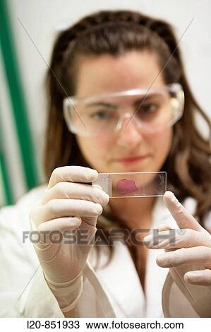 Department of Brain Ischemia and Neurodegeneration, IIBB - Institute for Biomedical Research of Barcelona, CSIC - Consejo Superior de Investigacion Cientifica (Spanish National Research Council), Barcelona, Catalonia, Spain View Large Photo Image Stock Image - Department of Brain Ischemia and Neurodegeneration, IIBB - Institute for Biomedical Research of Barcelona, CSIC - Consejo Superior de Investigacion Cientifica (Spanish National Research Council), Barcelona, Catalonia, Spain. Fotosearch