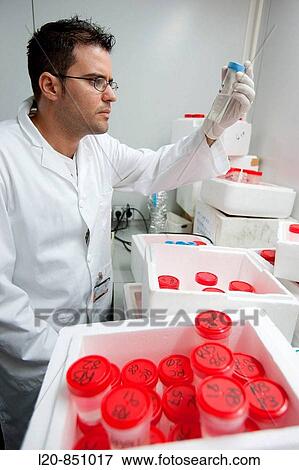 Department of Brain Ischemia and Neurodegeneration, IIBB - Institute for Biomedical Research of Barcelona, CSIC - Consejo Superior de Investigacion Cientifica (Spanish National Research Council), Barcelona, Catalonia, Spain View Large Photo Image Stock Photo - Department of Brain Ischemia and Neurodegeneration, IIBB - Institute for Biomedical Research of Barcelona, CSIC - Consejo Superior de Investigacion Cientifica (Spanish National Research Council), Barcelona, Catalonia, Spain. Fotosearch