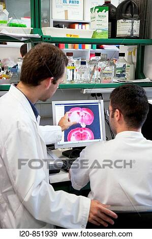 Department of Brain Ischemia and Neurodegeneration, IIBB - Institute for Biomedical Research of Barcelona, CSIC - Consejo Superior de Investigacion Cientifica (Spanish National Research Council), Barcelona, Catalonia, Spain View Large Photo Image Stock Photo - Department of Brain Ischemia and Neurodegeneration, IIBB - Institute for Biomedical Research of Barcelona, CSIC - Consejo Superior de Investigacion Cientifica (Spanish National Research Council), Barcelona, Catalonia, Spain. Fotosearch
