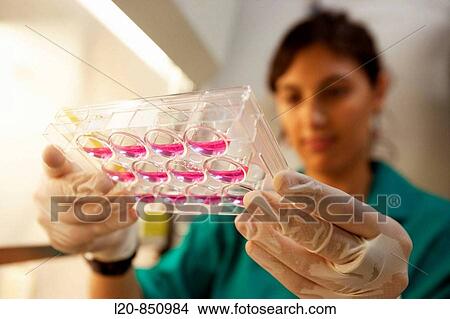 Picture - Department of Cell Death and Proliferation, IIBB - Institute for Biomedical Research of Barcelona, CSIC - Consejo Superior de Investigacion Cientifica (Spanish National Research Council), Barcelona, Catalonia, Spain. Fotosearch