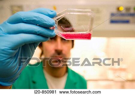 Stock Image - Department of Cell Death and Proliferation, IIBB - Institute for Biomedical Research of Barcelona, CSIC - Consejo Superior de Investigacion Cientifica (Spanish National Research Council), Barcelona, Catalonia, Spain. Fotosearch