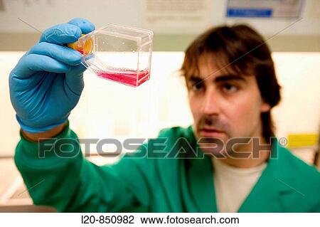 Stock Image - Department of Cell Death and Proliferation, IIBB - Institute for Biomedical Research of Barcelona, CSIC - Consejo Superior de Investigacion Cientifica (Spanish National Research Council), Barcelona, Catalonia, Spain. Fotosearch