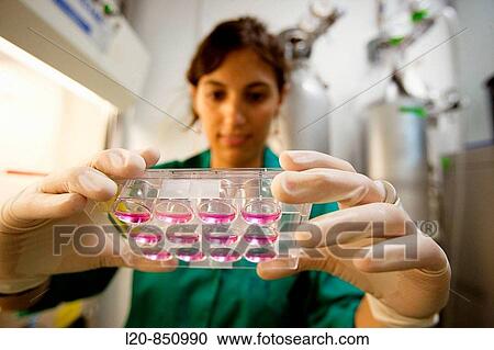Department of Cell Death and Proliferation, IIBB - Institute for Biomedical Research of Barcelona, CSIC - Consejo Superior de Investigacion Cientifica (Spanish National Research Council), Barcelona, Catalonia, Spain View Large Photo Image Stock Image - Department of Cell Death and Proliferation, IIBB - Institute for Biomedical Research of Barcelona, CSIC - Consejo Superior de Investigacion Cientifica (Spanish National Research Council), Barcelona, Catalonia, Spain. Fotosearch