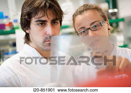 Department of Cell Death and Proliferation, IIBB - Institute for Biomedical Research of Barcelona, CSIC - Consejo Superior de Investigacion Cientifica (Spanish National Research Council), Barcelona, Catalonia, Spain View Large Photo Image Stock Image - Department of Cell Death and Proliferation, IIBB - Institute for Biomedical Research of Barcelona, CSIC - Consejo Superior de Investigacion Cientifica (Spanish National Research Council), Barcelona, Catalonia, Spain. Fotosearch