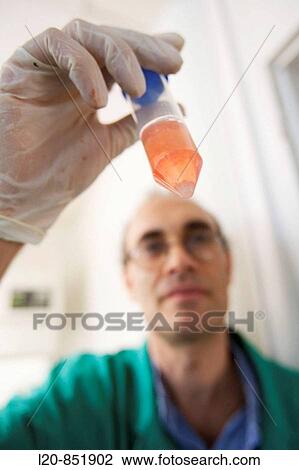 Department of Cell Death and Proliferation, IIBB - Institute for Biomedical Research of Barcelona, CSIC - Consejo Superior de Investigacion Cientifica (Spanish National Research Council), Barcelona, Catalonia, Spain View Large Photo Image Stock Image - Department of Cell Death and Proliferation, IIBB - Institute for Biomedical Research of Barcelona, CSIC - Consejo Superior de Investigacion Cientifica (Spanish National Research Council), Barcelona, Catalonia, Spain. Fotosearch
