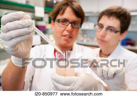 Department of Cell Death and Proliferation, IIBB - Institute for Biomedical Research of Barcelona, CSIC - Consejo Superior de Investigacion Cientifica (Spanish National Research Council), Barcelona, Catalonia, Spain View Large Photo Image Stock Photo - Department of Cell Death and Proliferation, IIBB - Institute for Biomedical Research of Barcelona, CSIC - Consejo Superior de Investigacion Cientifica (Spanish National Research Council), Barcelona, Catalonia, Spain. Fotosearch