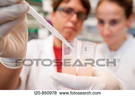 Department of Cell Death and Proliferation, IIBB - Institute for Biomedical Research of Barcelona, CSIC - Consejo Superior de Investigacion Cientifica (Spanish National Research Council), Barcelona, Catalonia, Spain View Large Photo Image Stock Photo - Department of Cell Death and Proliferation, IIBB - Institute for Biomedical Research of Barcelona, CSIC - Consejo Superior de Investigacion Cientifica (Spanish National Research Council), Barcelona, Catalonia, Spain. Fotosearch