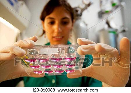 Department of Cell Death and Proliferation, IIBB - Institute for Biomedical Research of Barcelona, CSIC - Consejo Superior de Investigacion Cientifica (Spanish National Research Council), Barcelona, Catalonia, Spain View Large Photo Image Stock Photo - Department of Cell Death and Proliferation, IIBB - Institute for Biomedical Research of Barcelona, CSIC - Consejo Superior de Investigacion Cientifica (Spanish National Research Council), Barcelona, Catalonia, Spain. Fotosearch