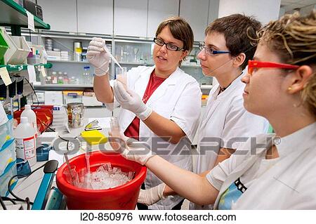 Stock Photograph - Department of Cell Death and Proliferation, IIBB - Institute for Biomedical Research of Barcelona, CSIC - Consejo Superior de Investigacion Cientifica (Spanish National Research Council), Barcelona, Catalonia, Spain. Fotosearch