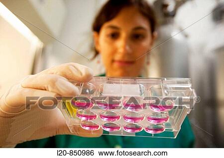 Stock Photograph - Department of Cell Death and Proliferation, IIBB - Institute for Biomedical Research of Barcelona, CSIC - Consejo Superior de Investigacion Cientifica (Spanish National Research Council), Barcelona, Catalonia, Spain. Fotosearch