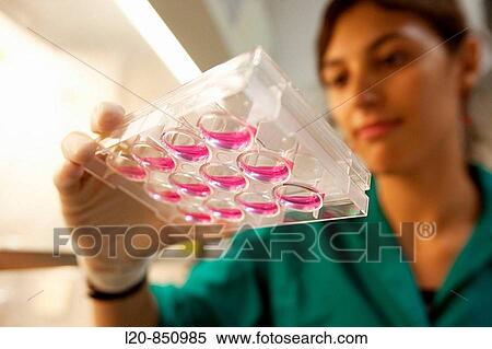 Department of Cell Death and Proliferation, IIBB - Institute for Biomedical Research of Barcelona, CSIC - Consejo Superior de Investigacion Cientifica (Spanish National Research Council), Barcelona, Catalonia, Spain View Large Photo Image Stock Photography - Department of Cell Death and Proliferation, IIBB - Institute for Biomedical Research of Barcelona, CSIC - Consejo Superior de Investigacion Cientifica (Spanish National Research Council), Barcelona, Catalonia, Spain. Fotosearch