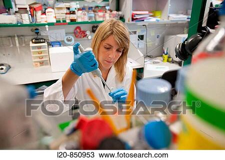 Department of Ischemia and Inflammation, IIBB - Institute for Biomedical Research of Barcelona, CSIC - Consejo Superior de Investigacion Cientifica (Spanish National Research Council), Barcelona, Catalonia, Spain View Large Photo Image Stock Image - Department of Ischemia and Inflammation, IIBB - Institute for Biomedical Research of Barcelona, CSIC - Consejo Superior de Investigacion Cientifica (Spanish National Research Council), Barcelona, Catalonia, Spain. Fotosearch