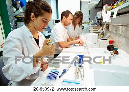 Department of Ischemia and Inflammation, IIBB - Institute for Biomedical Research of Barcelona, CSIC - Consejo Superior de Investigacion Cientifica (Spanish National Research Council), Barcelona, Catalonia, Spain View Large Photo Image Stock Image - Department of Ischemia and Inflammation, IIBB - Institute for Biomedical Research of Barcelona, CSIC - Consejo Superior de Investigacion Cientifica (Spanish National Research Council), Barcelona, Catalonia, Spain. Fotosearch