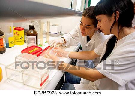 Department of Ischemia and Inflammation, IIBB - Institute for Biomedical Research of Barcelona, CSIC - Consejo Superior de Investigacion Cientifica (Spanish National Research Council), Barcelona, Catalonia, Spain View Large Photo Image Stock Image - Department of Ischemia and Inflammation, IIBB - Institute for Biomedical Research of Barcelona, CSIC - Consejo Superior de Investigacion Cientifica (Spanish National Research Council), Barcelona, Catalonia, Spain. Fotosearch