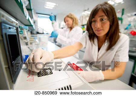Department of Ischemia and Inflammation, IIBB - Institute for Biomedical Research of Barcelona, CSIC - Consejo Superior de Investigacion Cientifica (Spanish National Research Council), Barcelona, Catalonia, Spain View Large Photo Image Stock Photo - Department of Ischemia and Inflammation, IIBB - Institute for Biomedical Research of Barcelona, CSIC - Consejo Superior de Investigacion Cientifica (Spanish National Research Council), Barcelona, Catalonia, Spain. Fotosearch