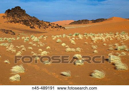 Desert, Libya. View Large Photo Image Stock Image - Desert, Libya.. Fotosearch
