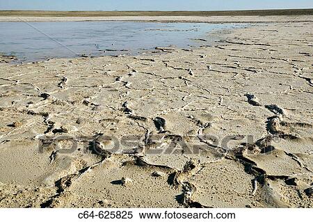 Desert of Baja California peninsula. Baja California. Mexico View Large Photo Image Stock Photography - Desert of Baja California peninsula. Baja California. Mexico. Fotosearch