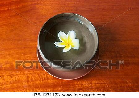 design at elegant French colonial style resort in Luang Prabang, Laos View Large Photo Image Stock Image - design at elegant French colonial style resort in Luang Prabang, Laos. Fotosearch