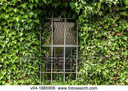 Detail of a window of 12th century Borby church, Eckernfoerde, Schleswig-Holstein, Germany, Europe View Large Photo Image Stock Photograph - Detail of a window of 12th century Borby church, Eckernfoerde, Schleswig-Holstein, Germany, Europe. Fotosearch