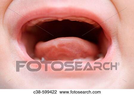 Detail of Baby Crying View Large Photo Image Stock Image - Detail of Baby Crying. Fotosearch